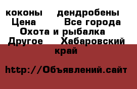 коконы    дендробены › Цена ­ 25 - Все города Охота и рыбалка » Другое   . Хабаровский край